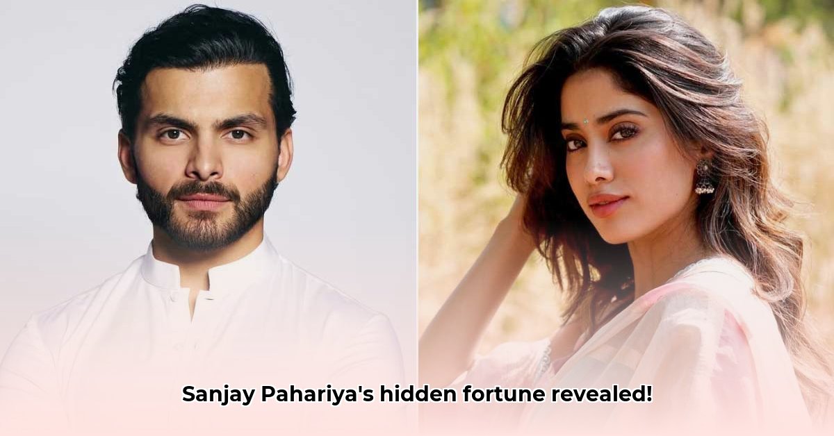 sanjay-pahariya-net-worth-in-rupees